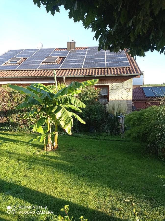 Moderne Ferienwohnung Neckarschleife Mit Klimaanlage Kirchheim am Neckar Eksteriør billede